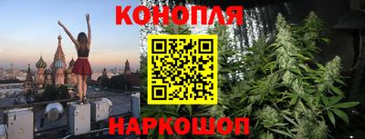 тгк Новокубанск