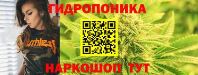 тгк Новокубанск