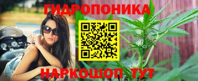 jwh Новозыбков