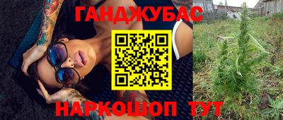 jwh Новозыбков